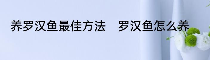 养罗汉鱼最佳方法　罗汉鱼怎么养