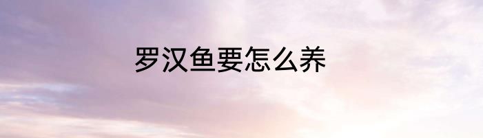 罗汉鱼要怎么养