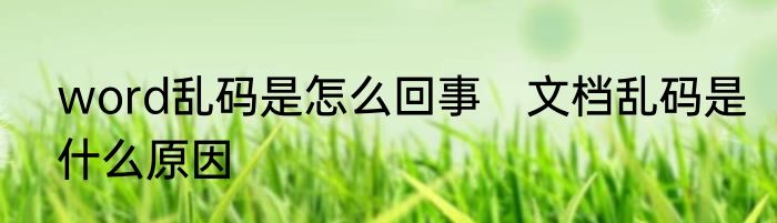 word乱码是怎么回事　文档乱码是什么原因
