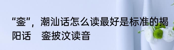 “銮”，潮汕话怎么读最好是标准的揭阳话　銮披汶读音