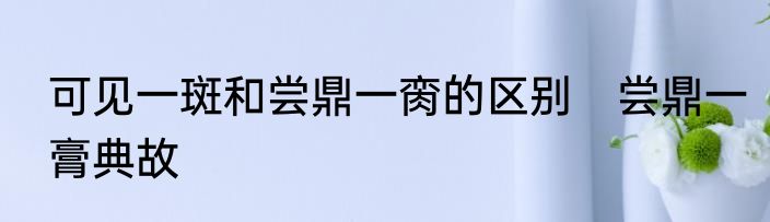 可见一斑和尝鼎一脔的区别　尝鼎一膏典故