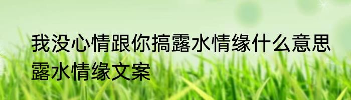 我没心情跟你搞露水情缘什么意思　露水情缘文案