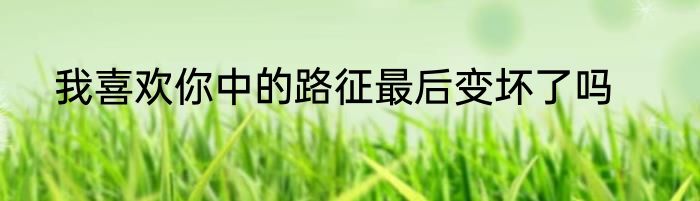 我喜欢你中的路征最后变坏了吗