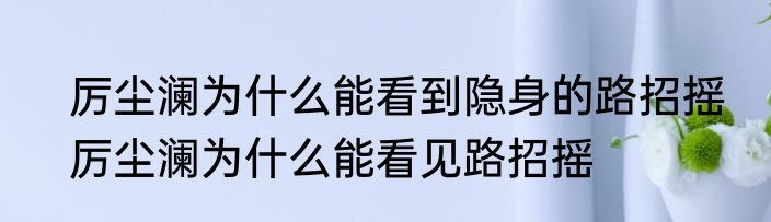 厉尘澜为什么能看到隐身的路招摇　厉尘澜为什么能看见路招摇