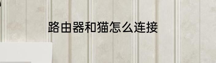 路由器和猫怎么连接
