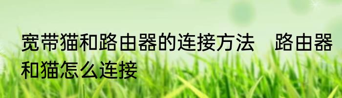 宽带猫和路由器的连接方法　路由器和猫怎么连接
