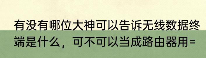 有没有哪位大神可以告诉无线数据终端是什么，可不可以当成路由器用=