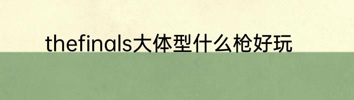 thefinals大体型什么枪好玩