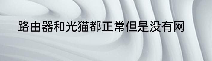 路由器和光猫都正常但是没有网