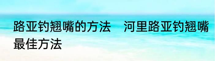 路亚钓翘嘴的方法　河里路亚钓翘嘴最佳方法