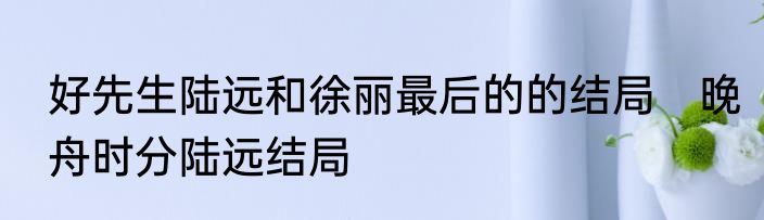 好先生陆远和徐丽最后的的结局　晚舟时分陆远结局