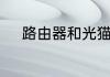 路由器和光猫都正常但是没有网