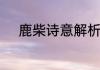 鹿柴诗意解析　鹿柴唐王维诗意