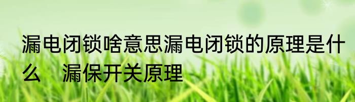 漏电闭锁啥意思漏电闭锁的原理是什么　漏保开关原理
