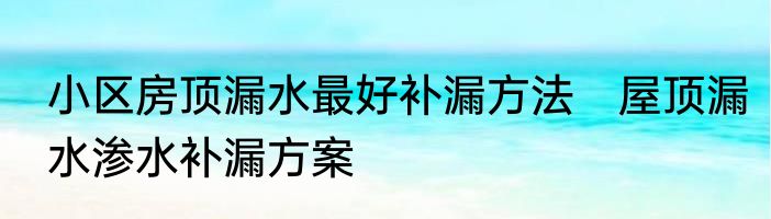 小区房顶漏水最好补漏方法　屋顶漏水渗水补漏方案