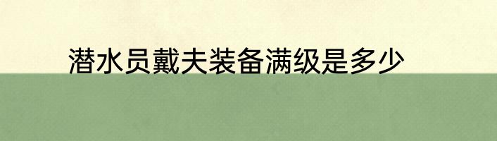 潜水员戴夫装备满级是多少
