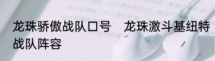 龙珠骄傲战队口号　龙珠激斗基纽特战队阵容