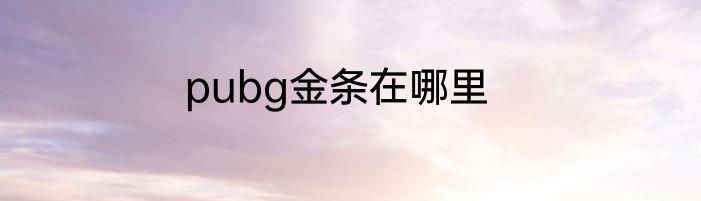 pubg金条在哪里