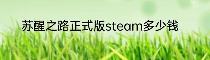 苏醒之路正式版steam多少钱