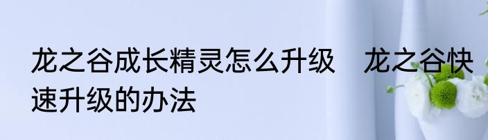 龙之谷成长精灵怎么升级　龙之谷快速升级的办法