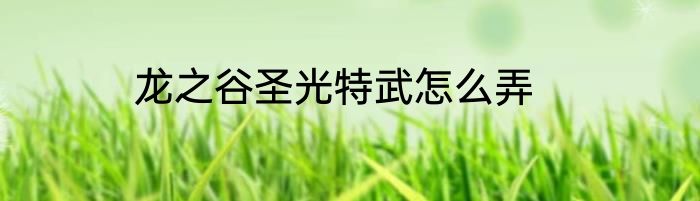 龙之谷圣光特武怎么弄