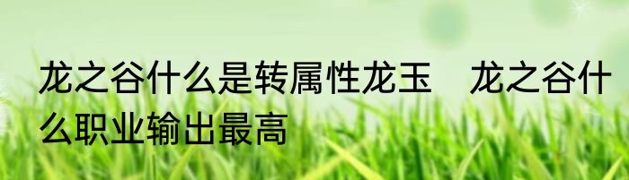 龙之谷什么是转属性龙玉　龙之谷什么职业输出最高