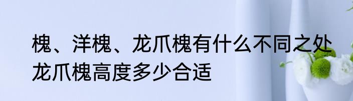 槐、洋槐、龙爪槐有什么不同之处　龙爪槐高度多少合适
