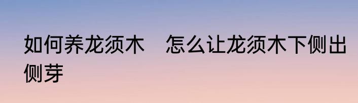 如何养龙须木　怎么让龙须木下侧出侧芽