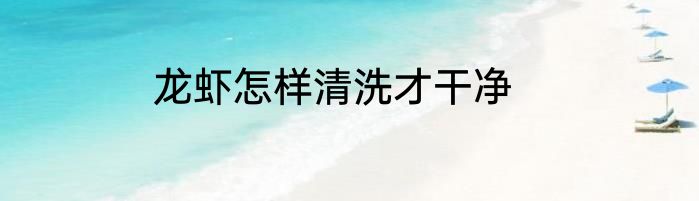 龙虾怎样清洗才干净