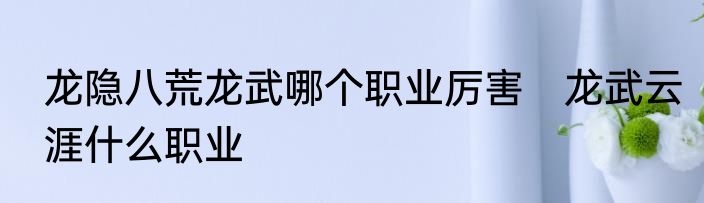 龙隐八荒龙武哪个职业厉害　龙武云涯什么职业