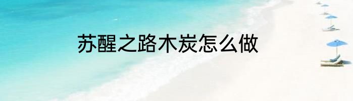 苏醒之路木炭怎么做