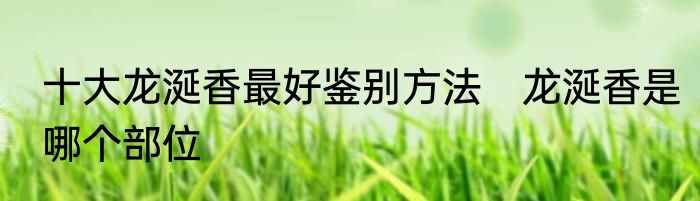 十大龙涎香最好鉴别方法　龙涎香是哪个部位