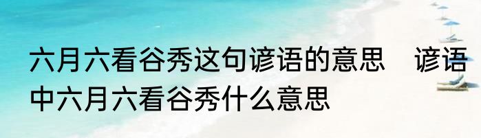六月六看谷秀这句谚语的意思　谚语中六月六看谷秀什么意思