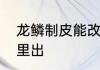 龙鳞制皮能改分支吗　冰冷的龙鳞哪里出