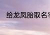 给龙凤胎取名字　姓肖龙凤胎求名