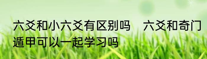 六爻和小六爻有区别吗　六爻和奇门遁甲可以一起学习吗