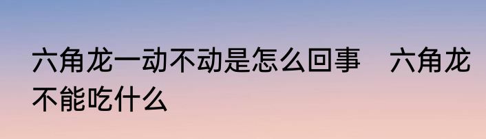 六角龙一动不动是怎么回事　六角龙不能吃什么