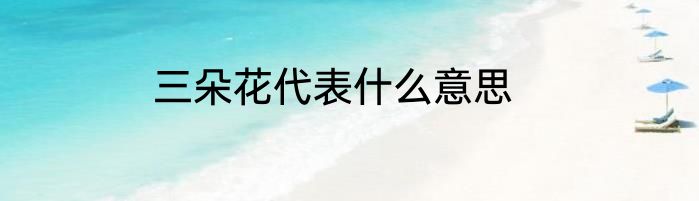 三朵花代表什么意思