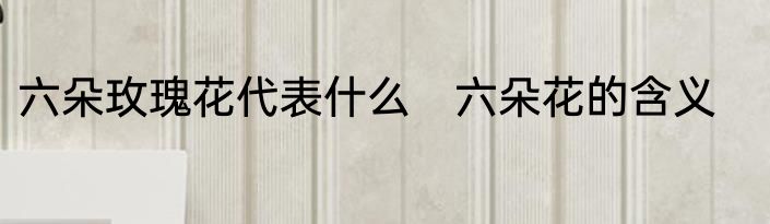 六朵玫瑰花代表什么　六朵花的含义