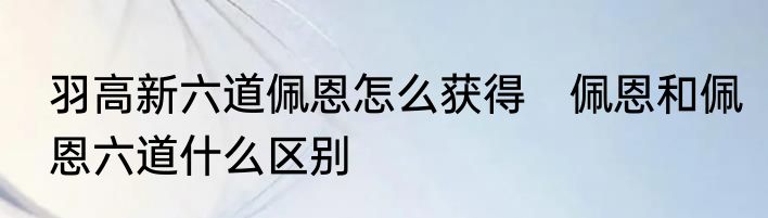 羽高新六道佩恩怎么获得　佩恩和佩恩六道什么区别
