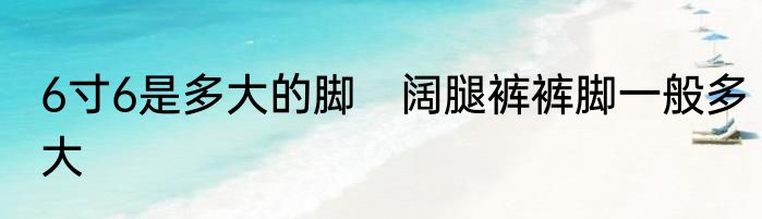 6寸6是多大的脚　阔腿裤裤脚一般多大
