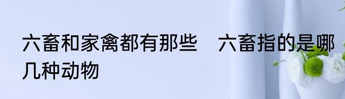 六畜和家禽都有那些　六畜指的是哪几种动物