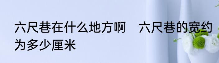 六尺巷在什么地方啊　六尺巷的宽约为多少厘米