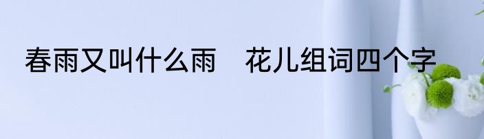 春雨又叫什么雨　花儿组词四个字