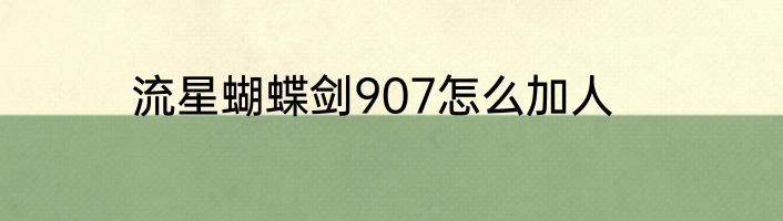 流星蝴蝶剑907怎么加人