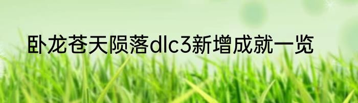 卧龙苍天陨落dlc3新增成就一览
