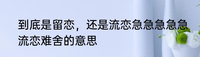 到底是留恋，还是流恋急急急急急　流恋难舍的意思