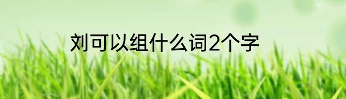 刘可以组什么词2个字