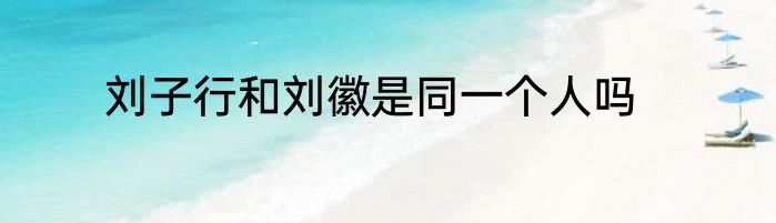 刘子行和刘徽是同一个人吗
