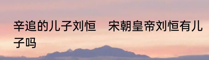 辛追的儿子刘恒　宋朝皇帝刘恒有儿子吗